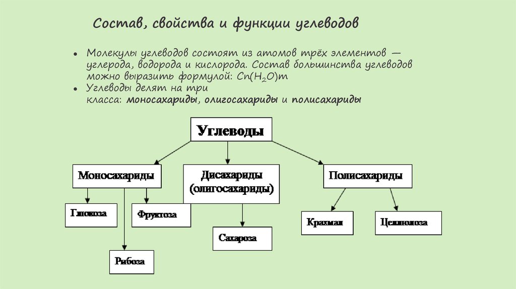 Состав, свойства и функции углеводов