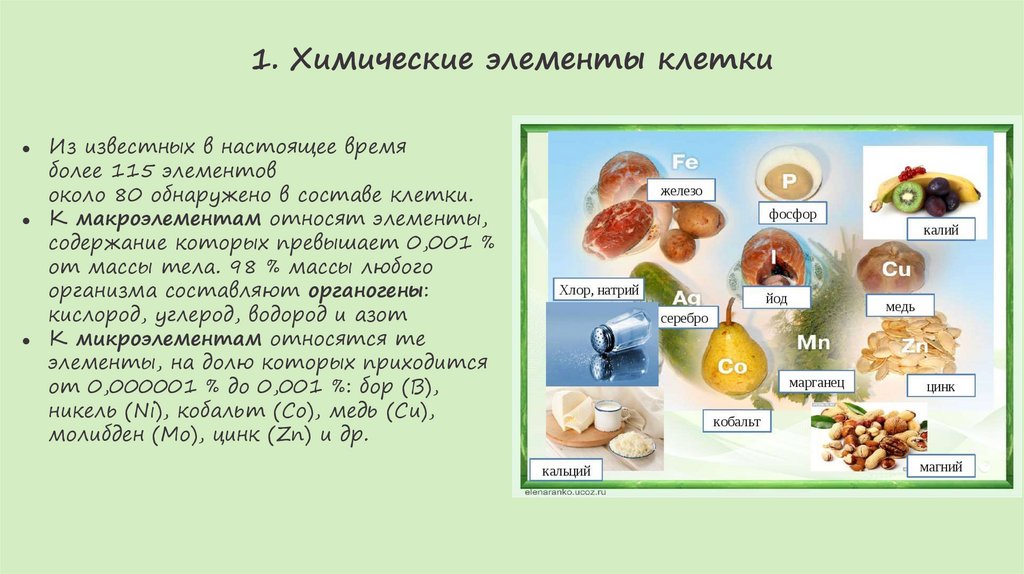 1. Химические элементы клетки