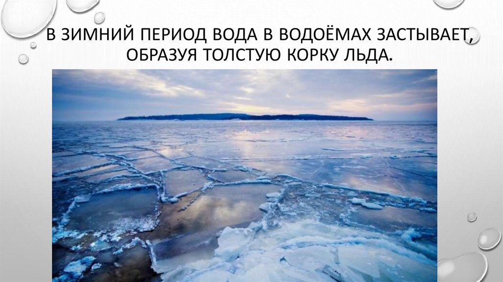 В зимний период вода в водоёмах застывает, образуя толстую корку льда.