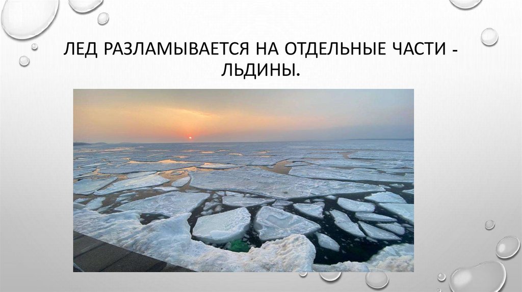 Лед разламывается на отдельные части - льдины.