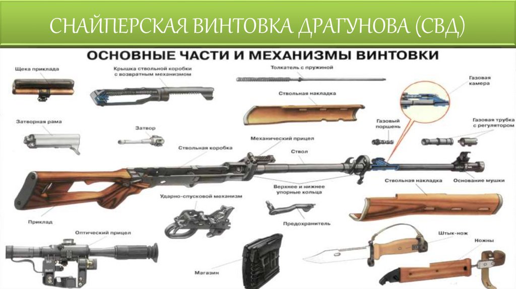 СНАЙПЕРСКАЯ ВИНТОВКА ДРАГУНОВА (СВД)