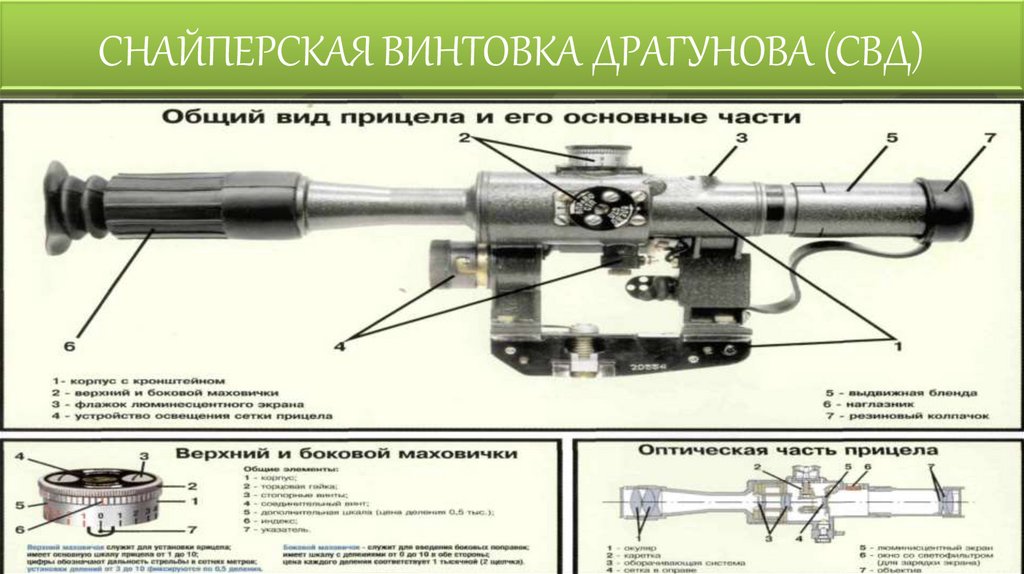 СНАЙПЕРСКАЯ ВИНТОВКА ДРАГУНОВА (СВД)