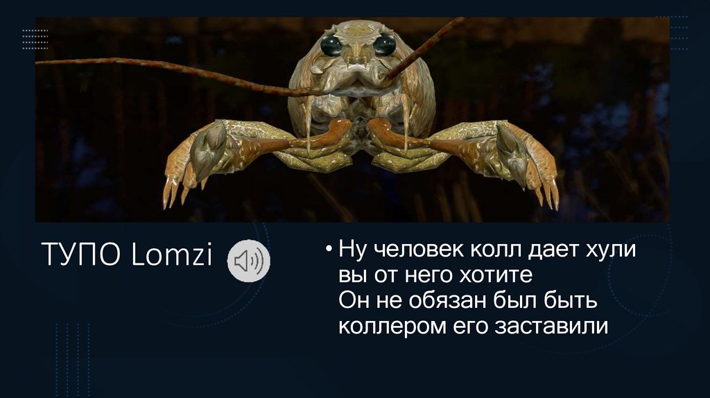 ТУПО Lomzi