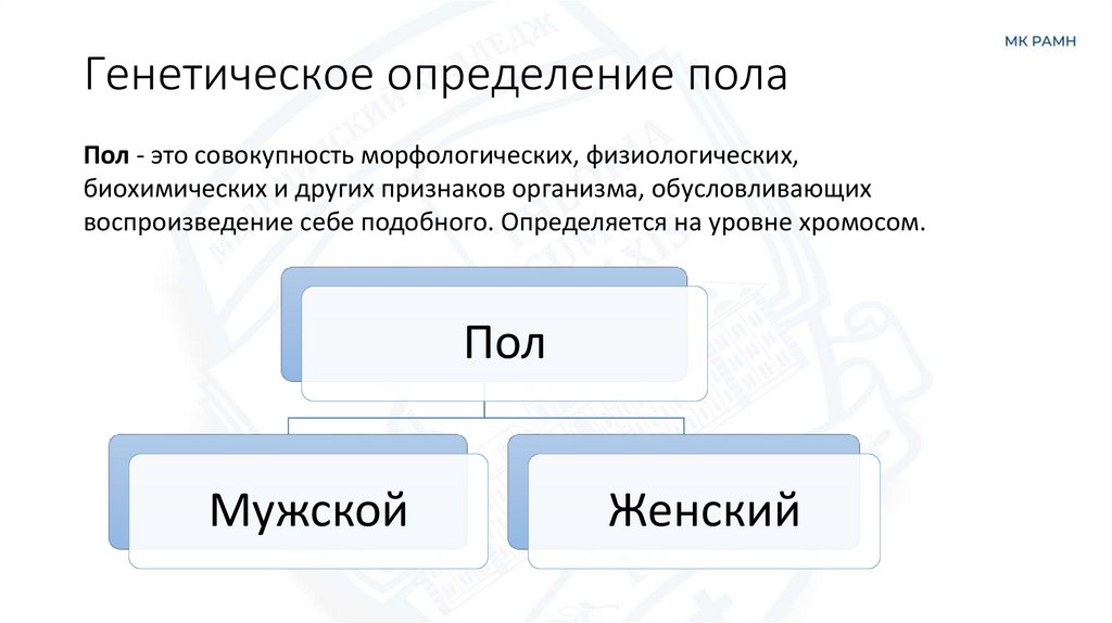 Генетическое определение пола