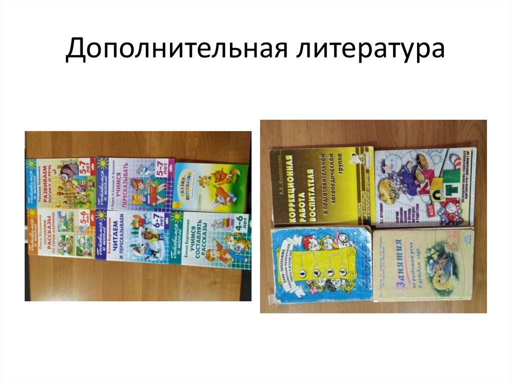 Дополнительная литература