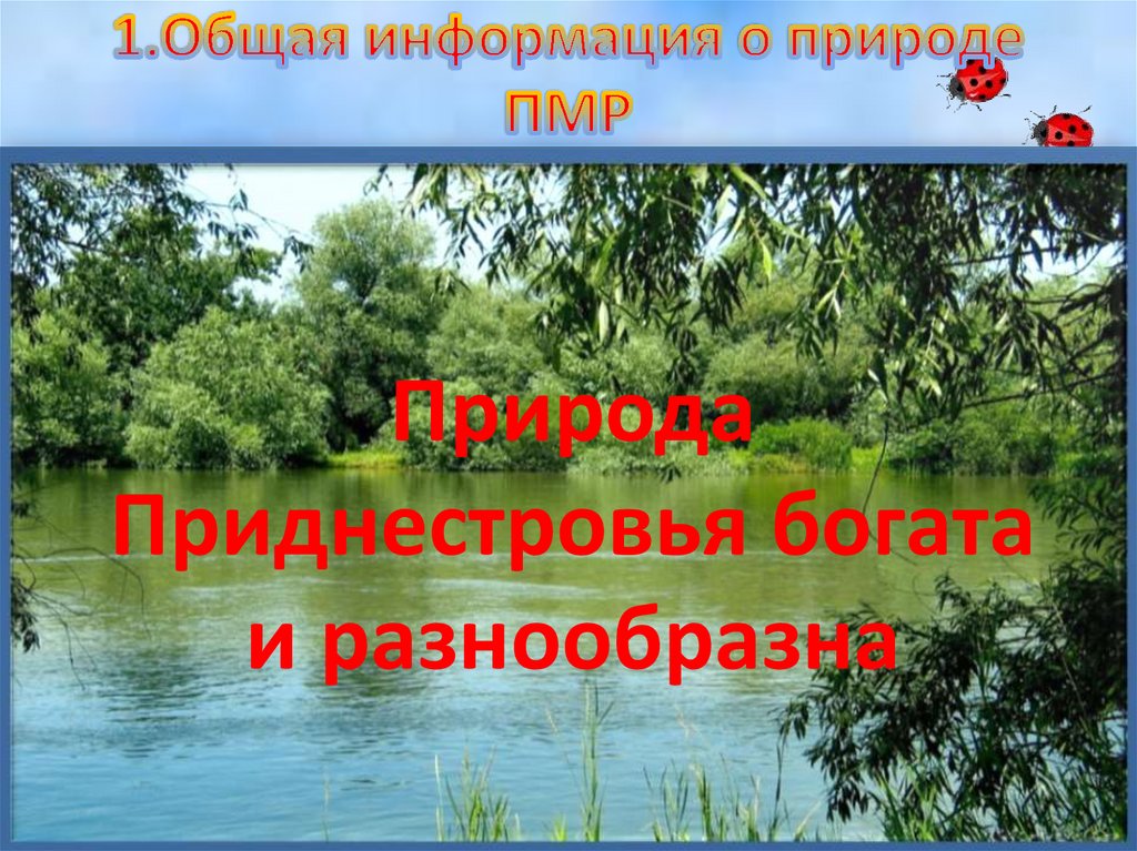 1.Общая информация о природе ПМР