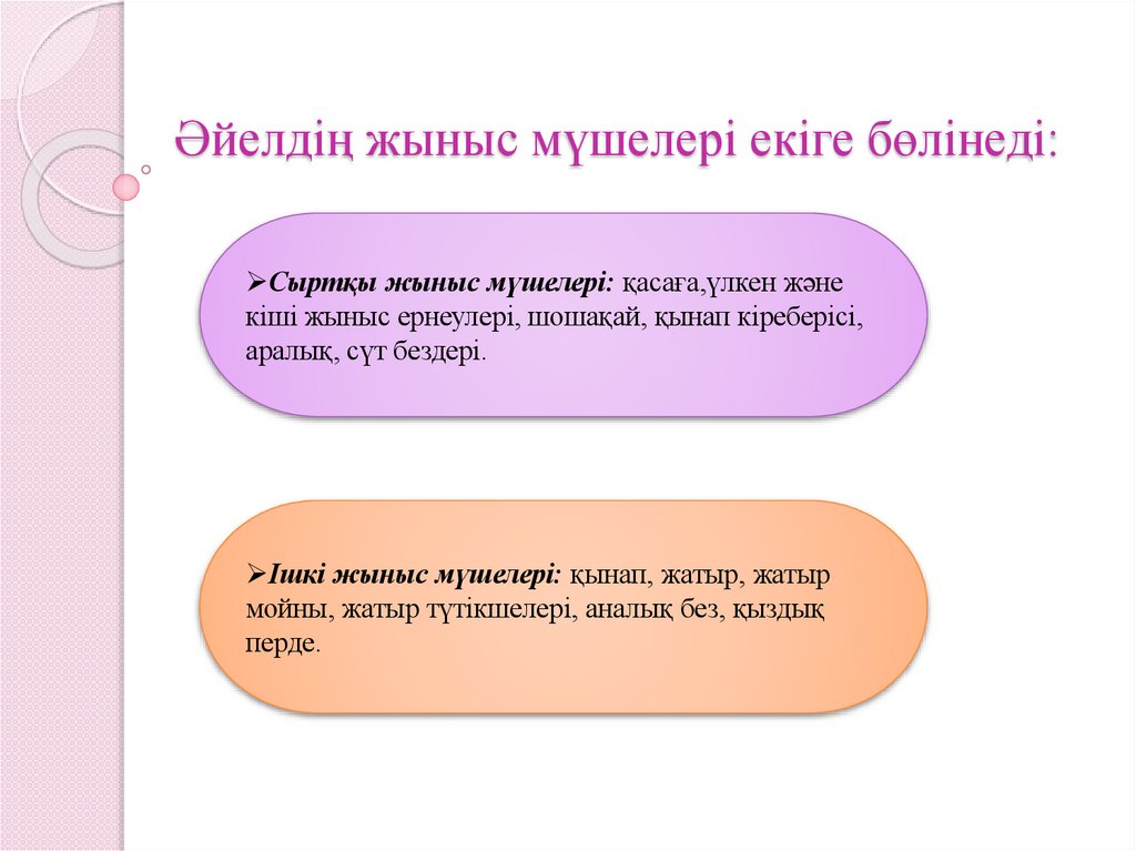 Әйелдің жыныс мүшелері екіге бөлінеді: