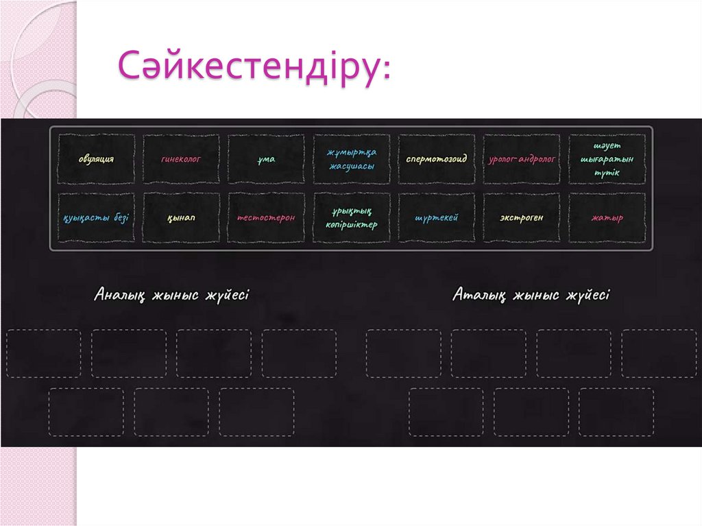 Сәйкестендіру: