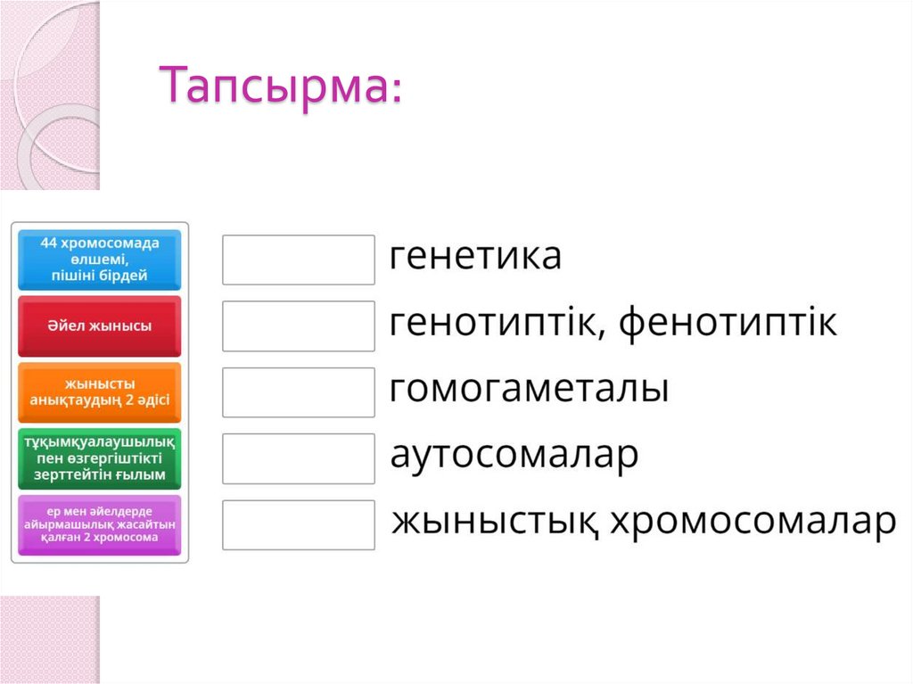 Пискалар мен анустардың жақыннан түсірілген фотосуреттері Шұлықтар киім ауыстыратын ерлердің порно фотосуреттері