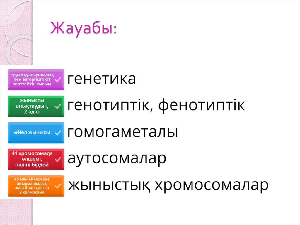 Жауабы: