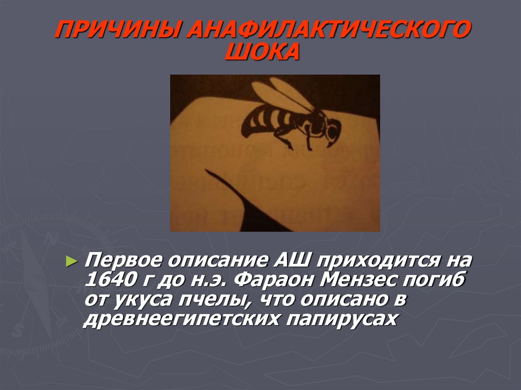 ПРИЧИНЫ АНАФИЛАКТИЧЕСКОГО ШОКА