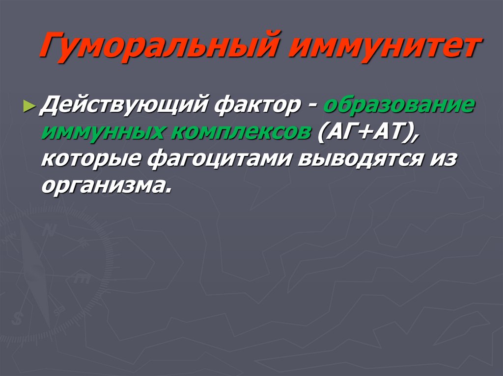 Гуморальный иммунитет