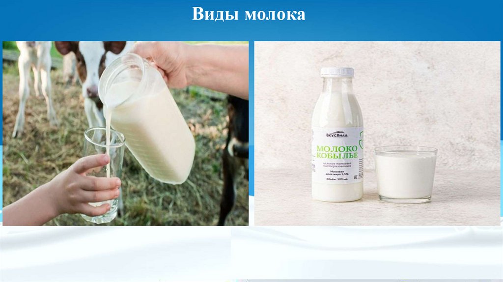 Виды молока