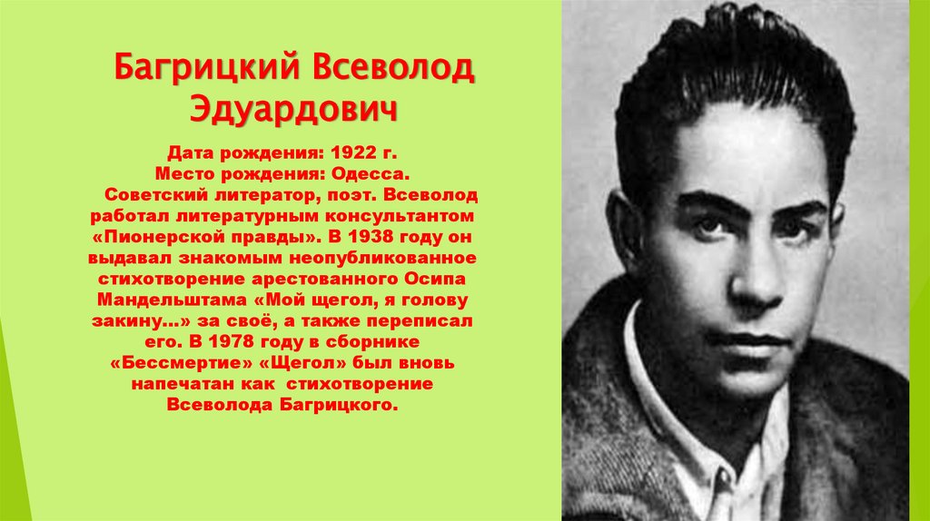 Багрицкий Всеволод Эдуардович