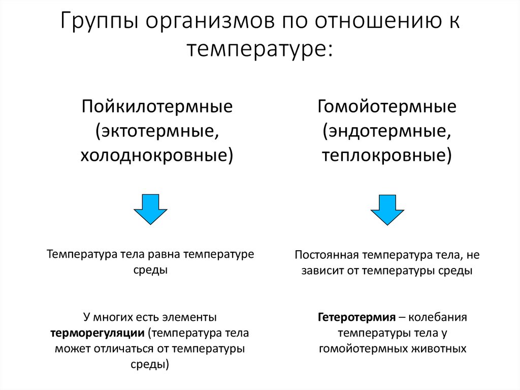 Группы организмов по отношению к температуре: