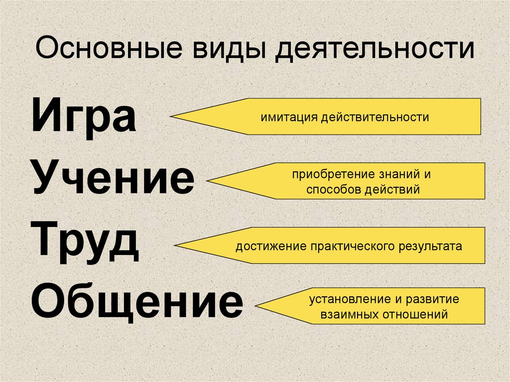 Основные виды деятельности