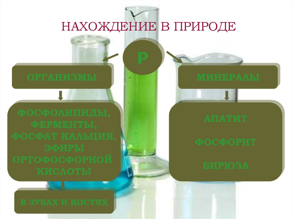 НАХОЖДЕНИЕ В ПРИРОДЕ