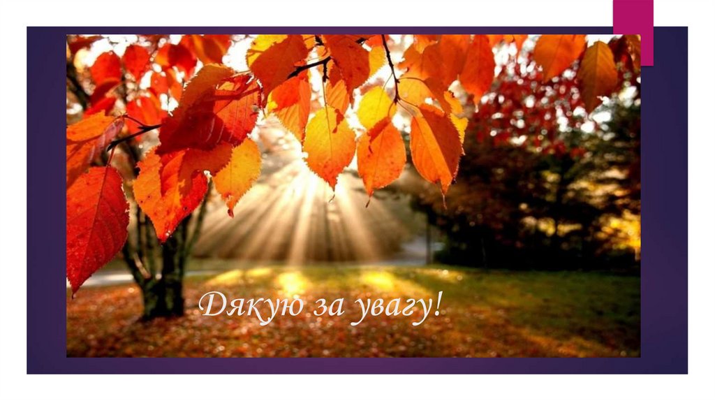 Дякую за увагу!