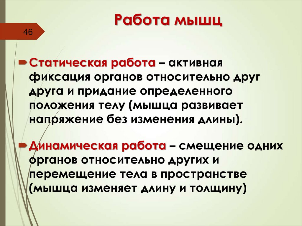 Работа мышц