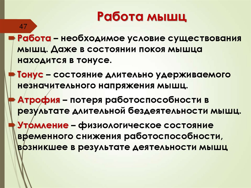 Работа мышц