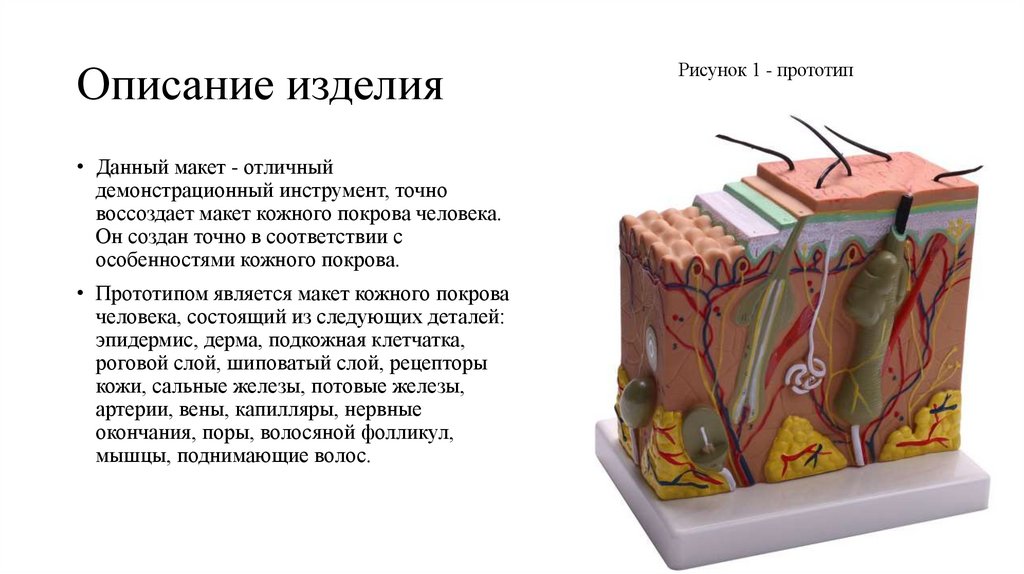 Описание изделия