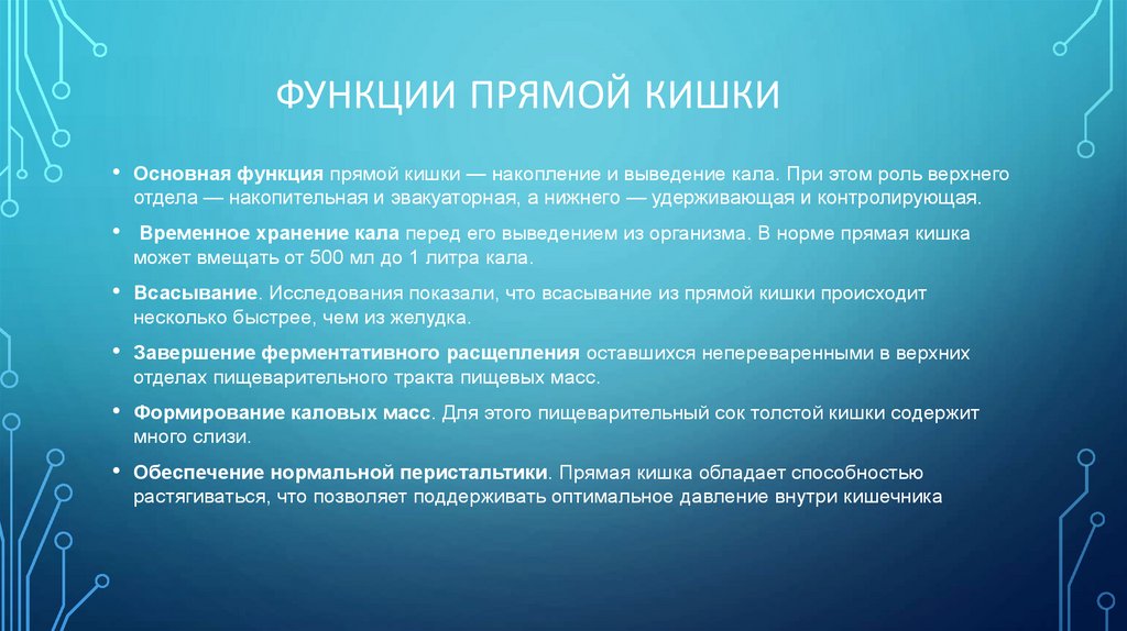 Функции прямой кишки