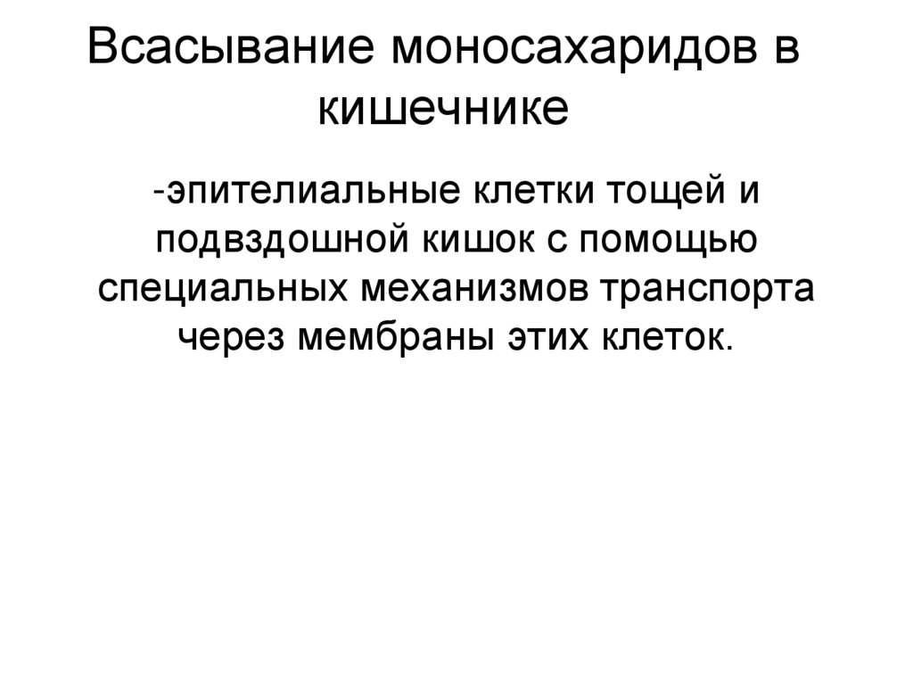 Всасывание моносахаридов в кишечнике