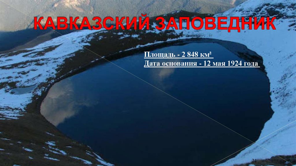 КАВКАЗСКИЙ ЗАПОВЕДНИК