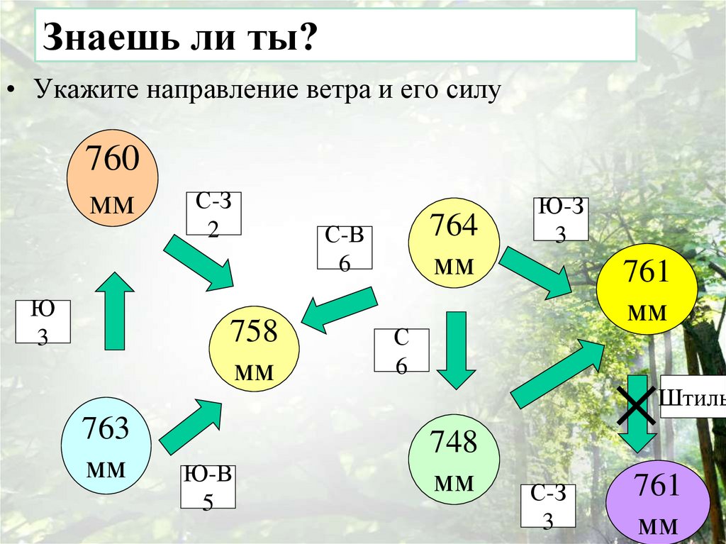 Знаешь ли ты?