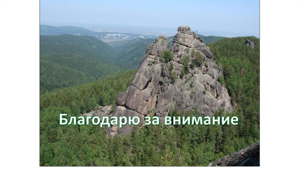 Благодарю за внимание