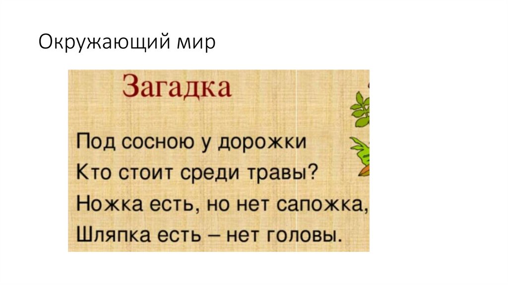 Окружающий мир