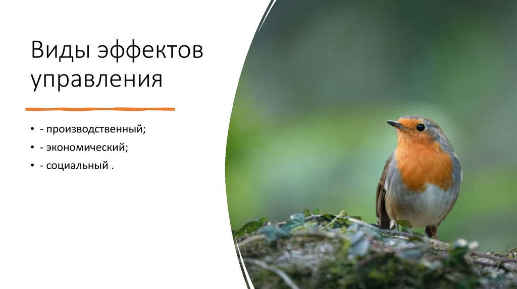 Виды эффектов управления