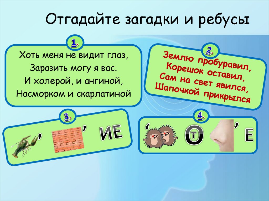 Отгадайте загадки и ребусы