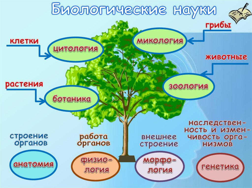Биологические науки