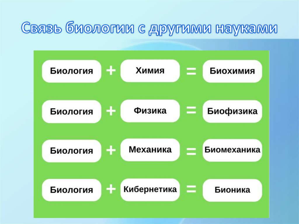 Связь биологии с другими науками