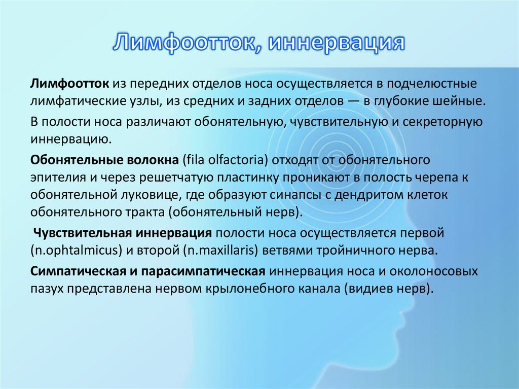 Лимфоотток, иннервация