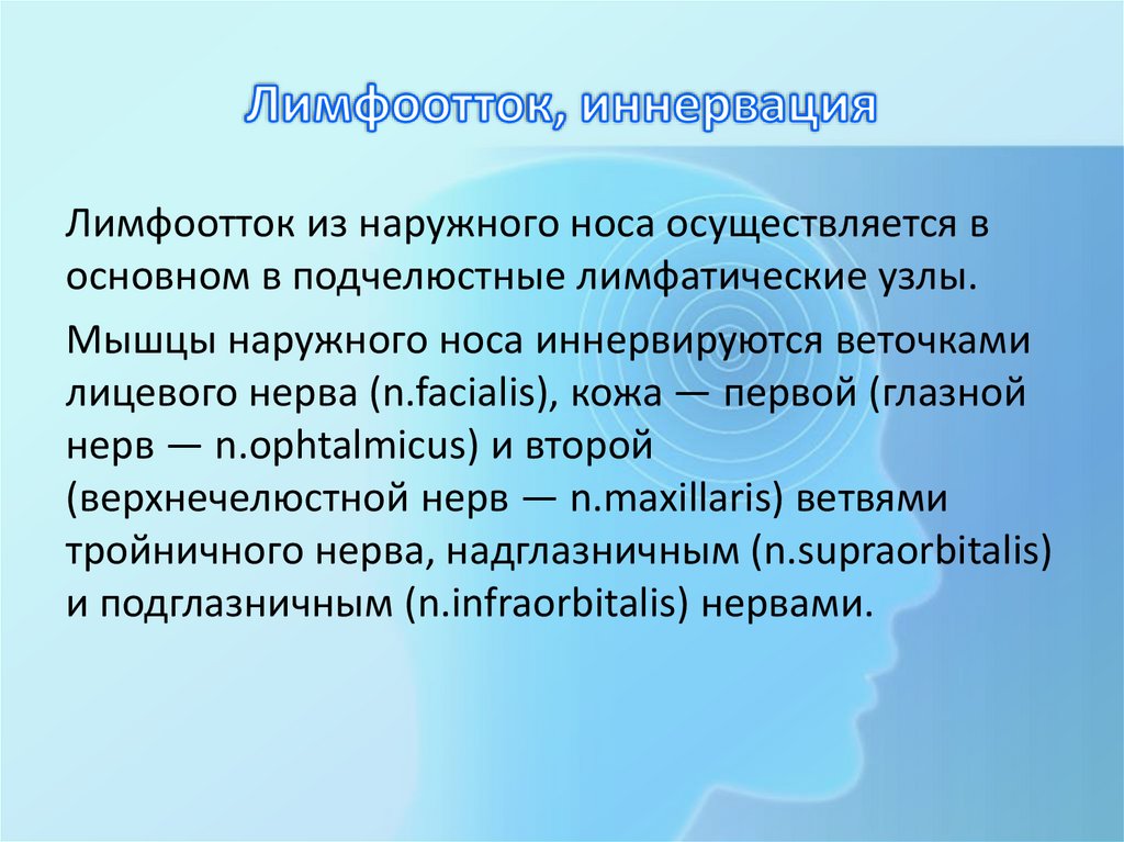 Лимфоотток, иннервация