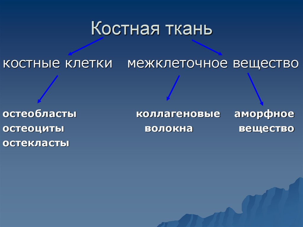 Костная ткань