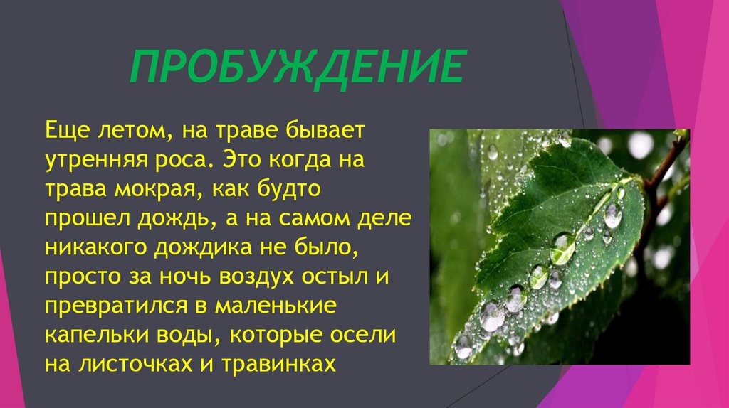 ПРОБУЖДЕНИЕ