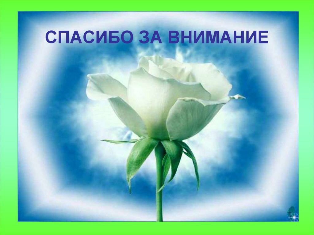 СПАСИБО ЗА ВНИМАНИЕ