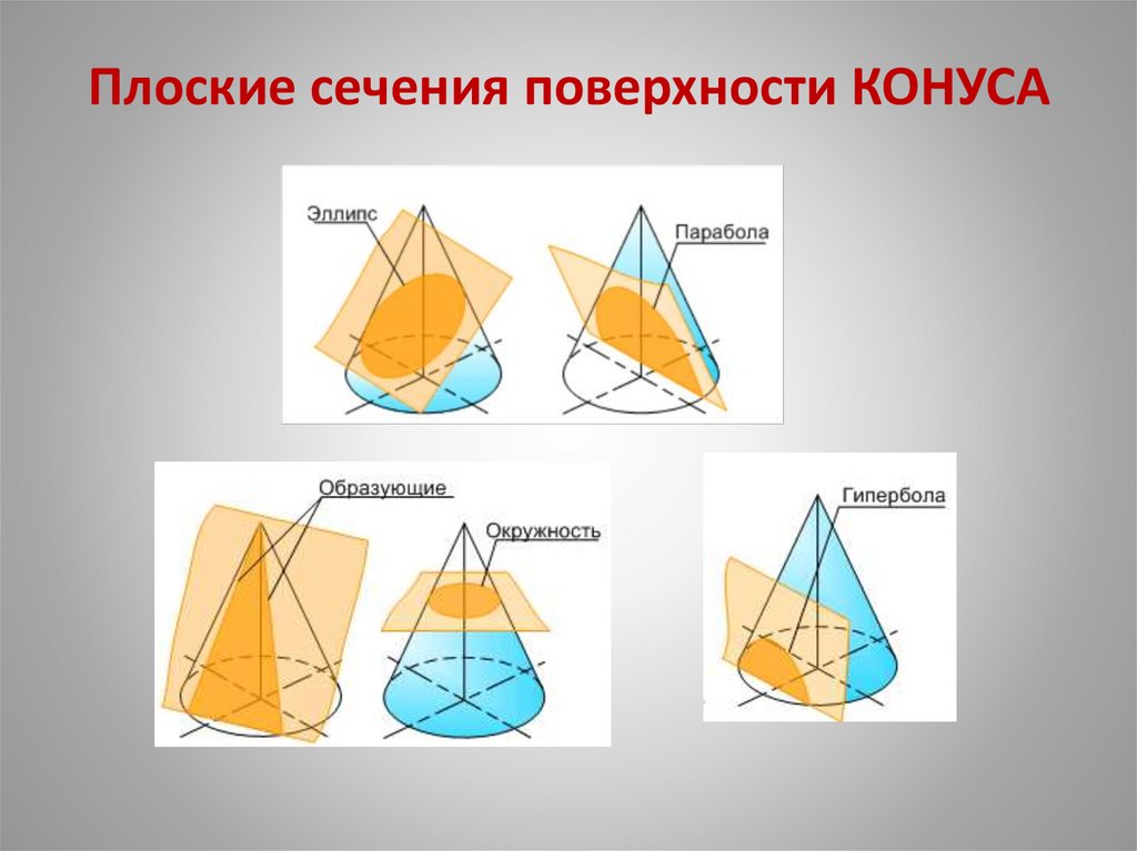 Плоские сечения поверхности КОНУСА