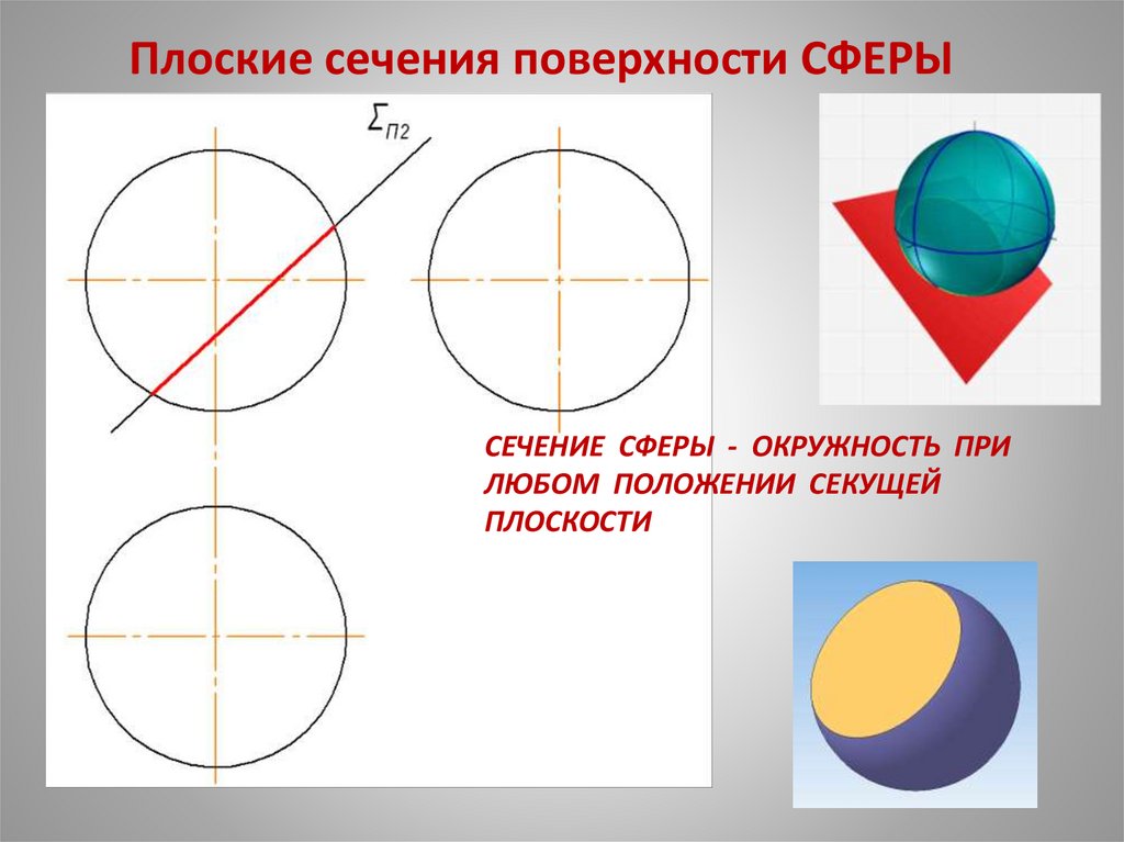 СЕЧЕНИЕ СФЕРЫ - ОКРУЖНОСТЬ ПРИ ЛЮБОМ ПОЛОЖЕНИИ СЕКУЩЕЙ ПЛОСКОСТИ
