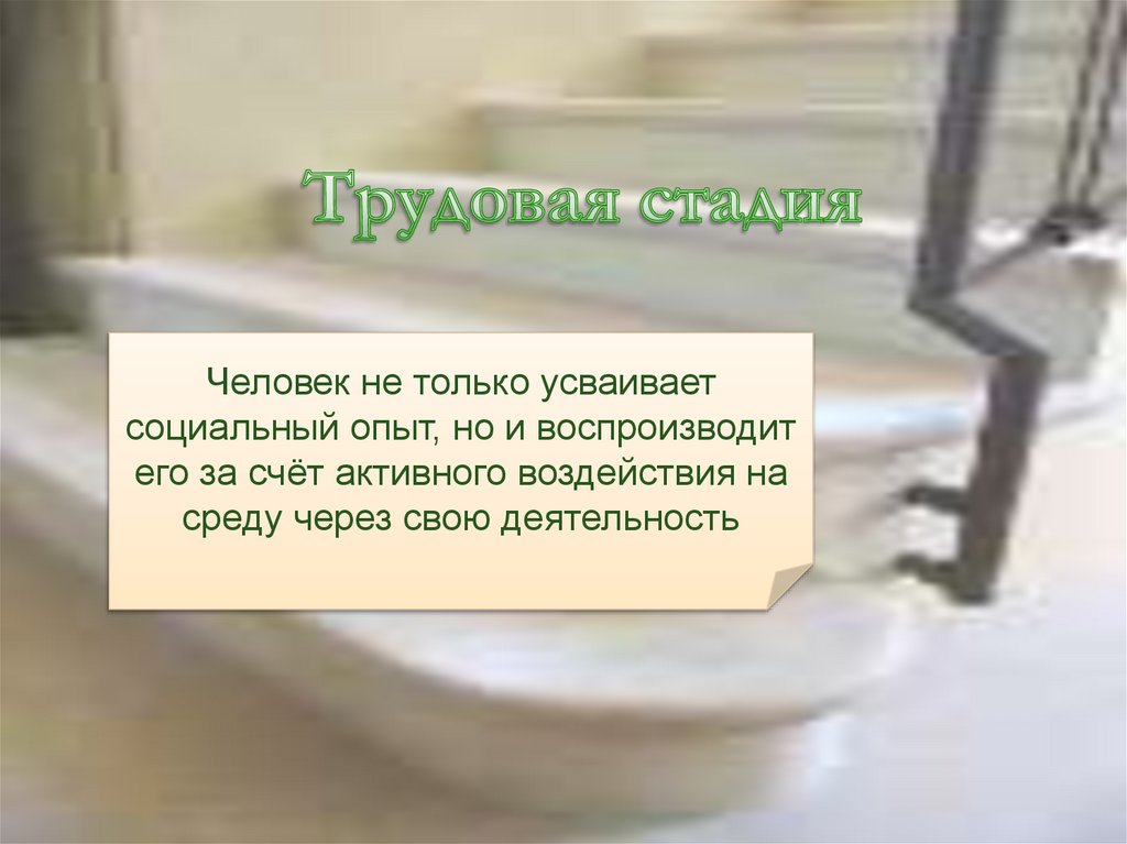 Трудовая стадия
