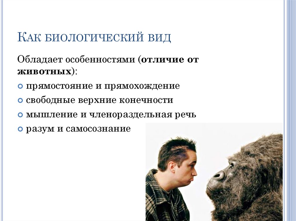 Как биологический вид