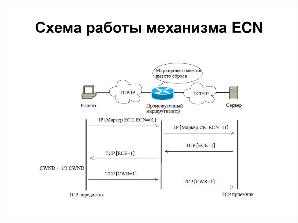 Схема работы механизма ECN