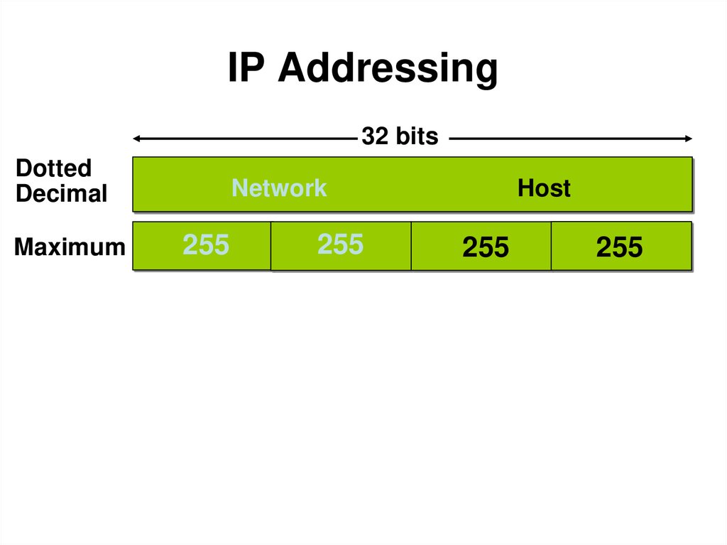 IP Addressing