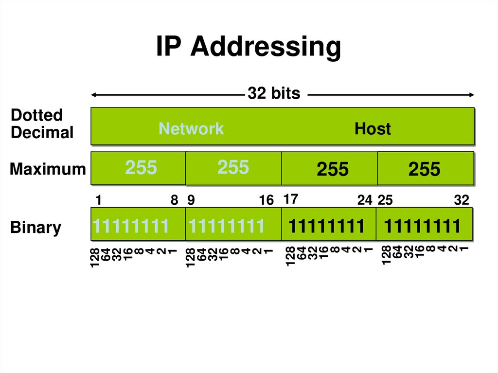 IP Addressing