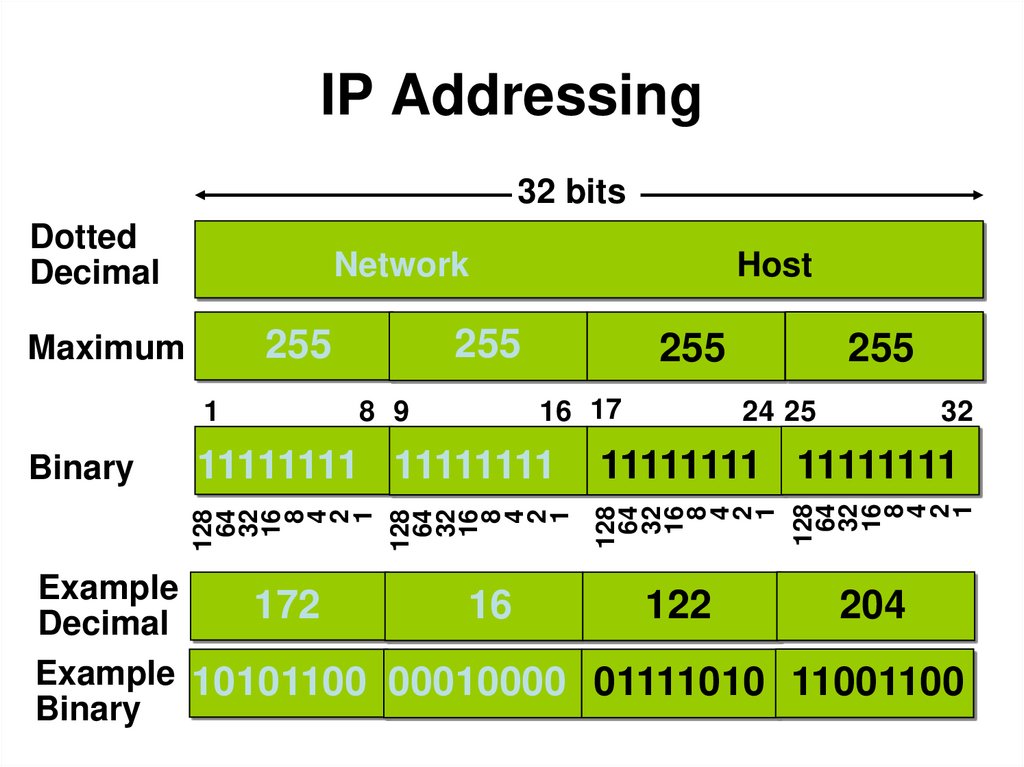 IP Addressing