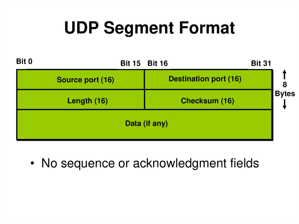 UDP Segment Format