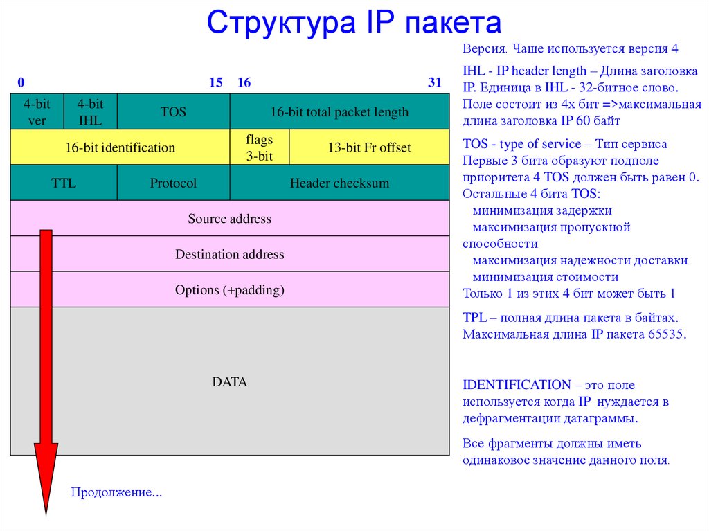 Структура IP пакета